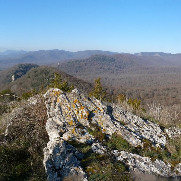 Ameztiko harriaren gailurra