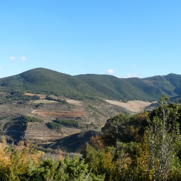 Zulozar Esparatz aldetik