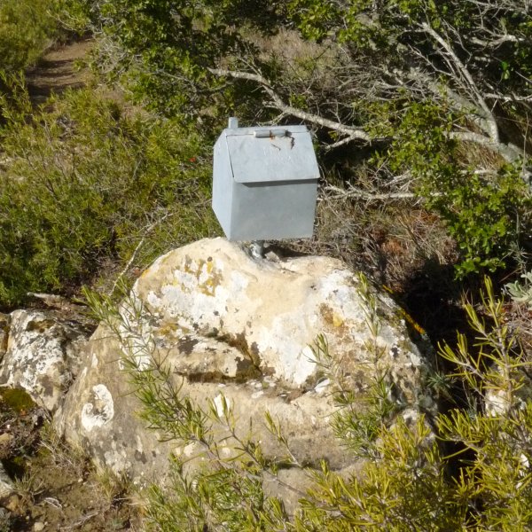 Txingarra Txikiko gailurra