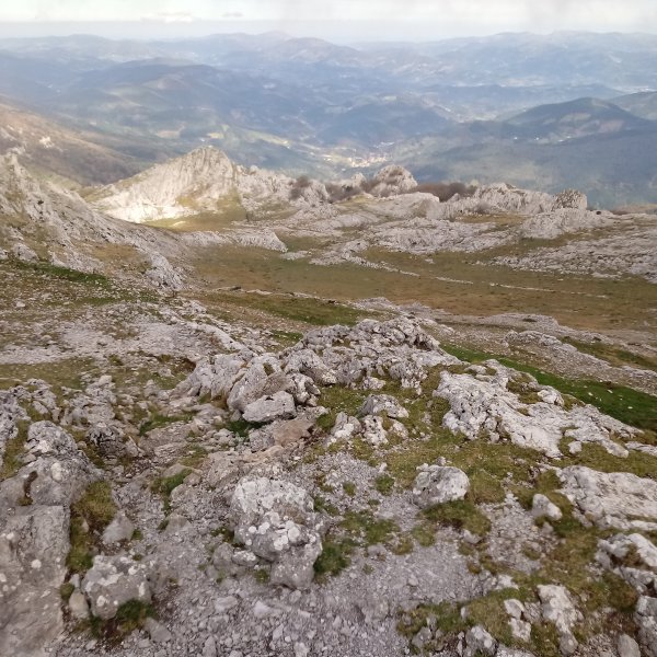 Aratz, ekialdeko zelaia