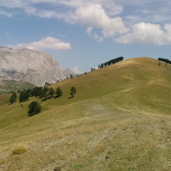 Kanadaxiloa (1769m)  eta Ezkaurre (2050m)