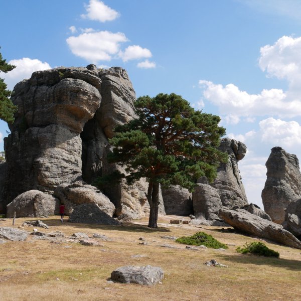 Castroviejoko haitzak