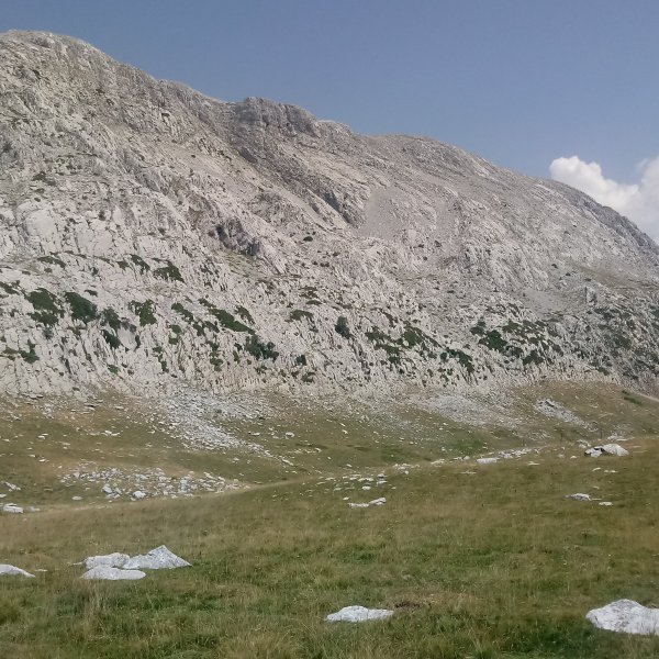 Ezkaurre (2045m) hegoaldetik ikusita