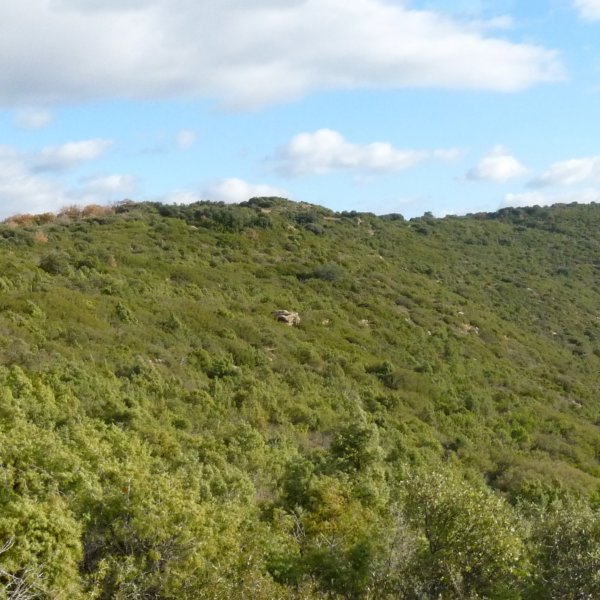 Portillua, hegoaldeko isurialdea