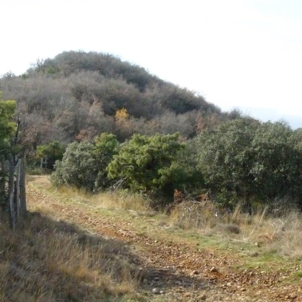 Peña del Ladron