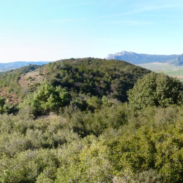 Learza mendia, ekialdetik