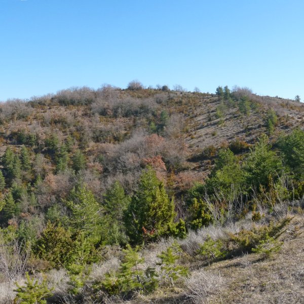 Urdani, mendebaldeko isurialdea