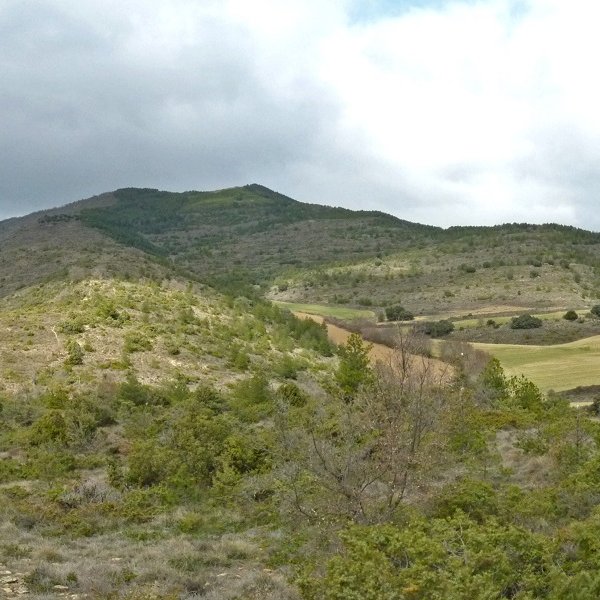 Erbinagaburua, hegoaldetik