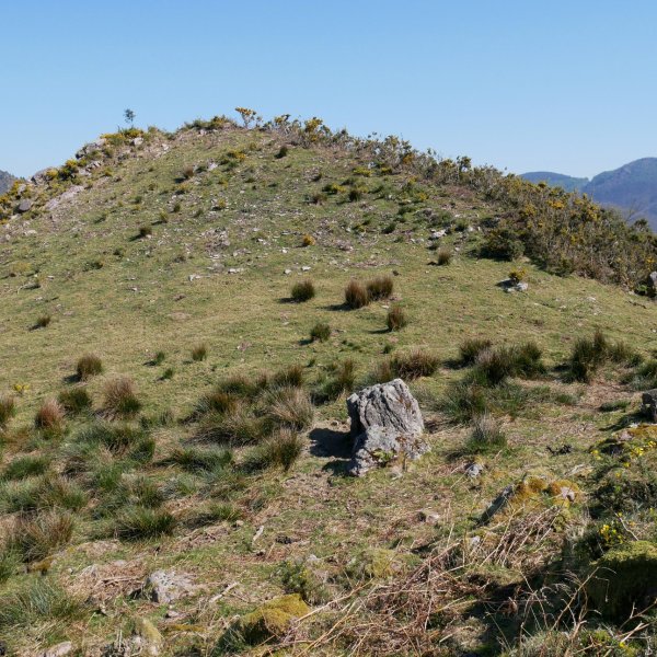 Pagoagalarre, tontorra