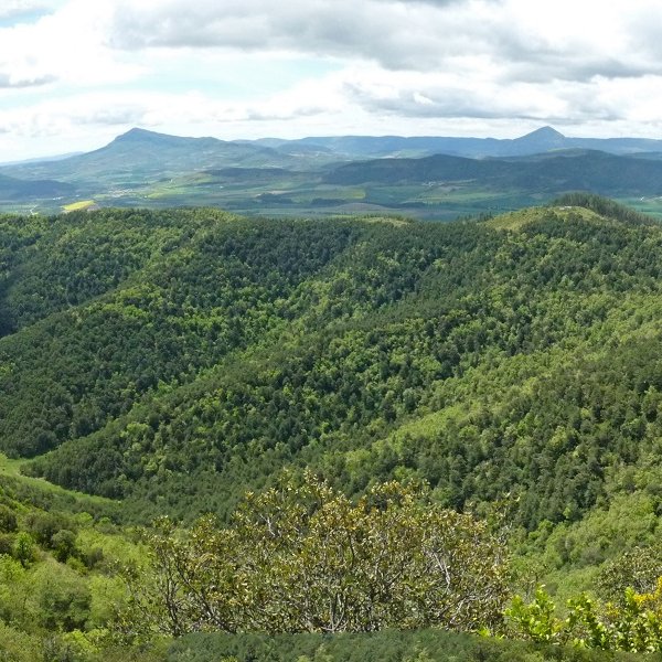 Txorrotxagako gainak Peña Espesako malkarretatik