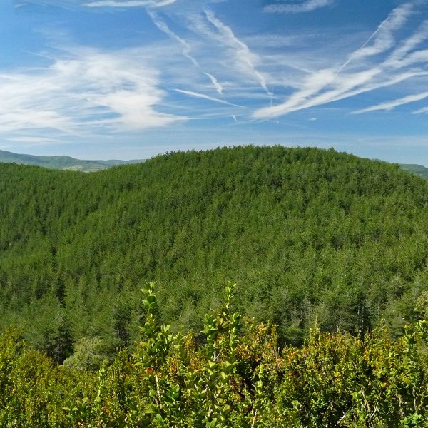 Ezpilaga hegoaldeok gainak, gailurretik