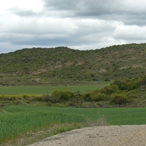 Sazuluzea (Pingolotero)