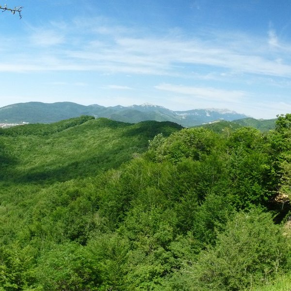 Altzaniako mendiak, Otsagiko Puntatik 