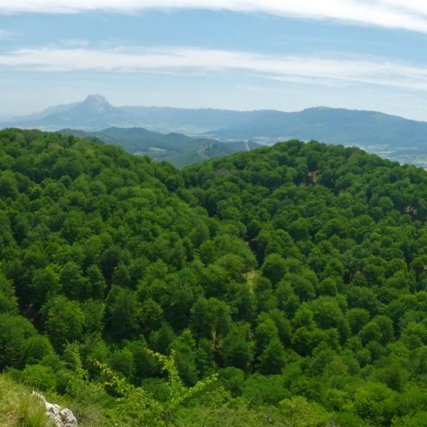Aizkaia eta Musarrako haitzak