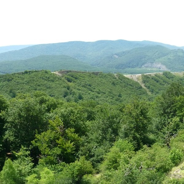 Auntzetako Harria, Arbotontxikitik