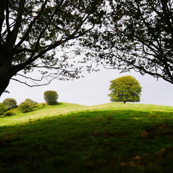 Berreuko Gaina, Ekialdeko bizkarretik
