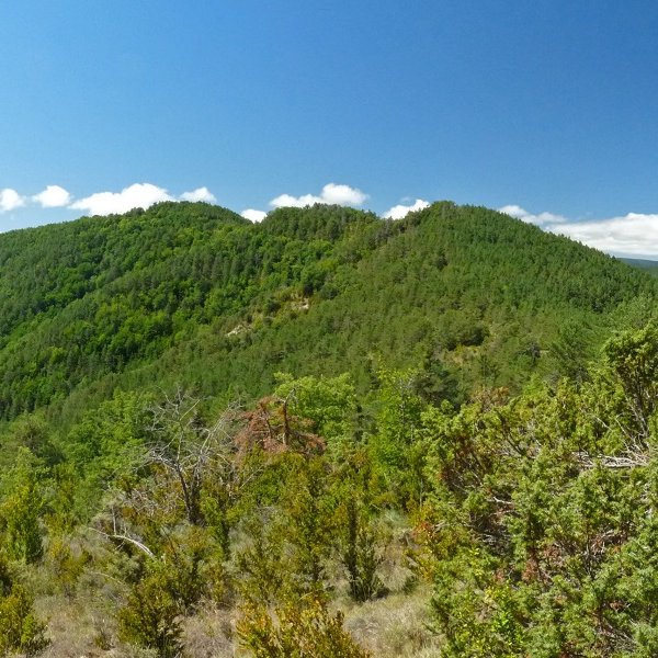 Ellakurria, iparraldetik