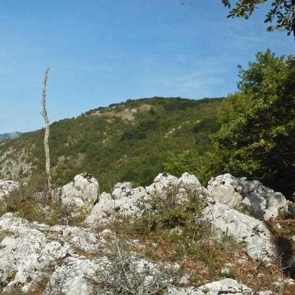 Artebakarreko gailurra