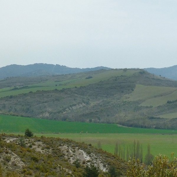 Txakokia mendebaldetik