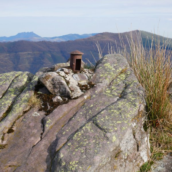 Txartelontzia, Arnabar