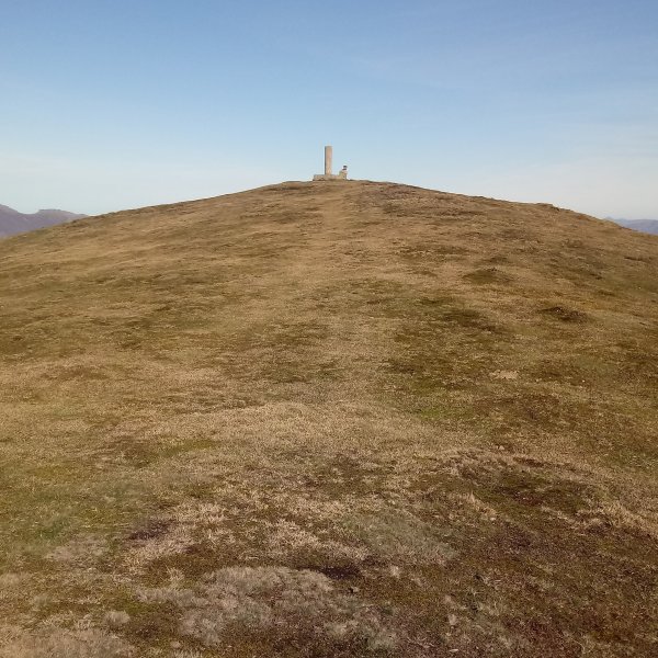 Soratxipi (1120m) tontor belarditsua