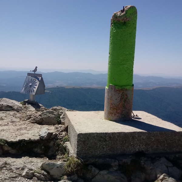 Orhi (2017m) tontorra