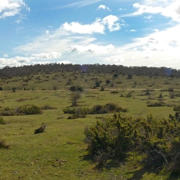 Arastegi, mendebaldetik