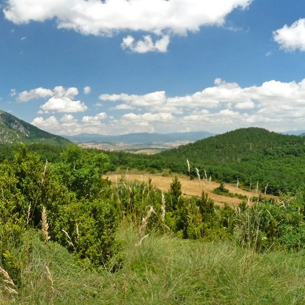 Elomendi eta Mendiurrun, gailurretik