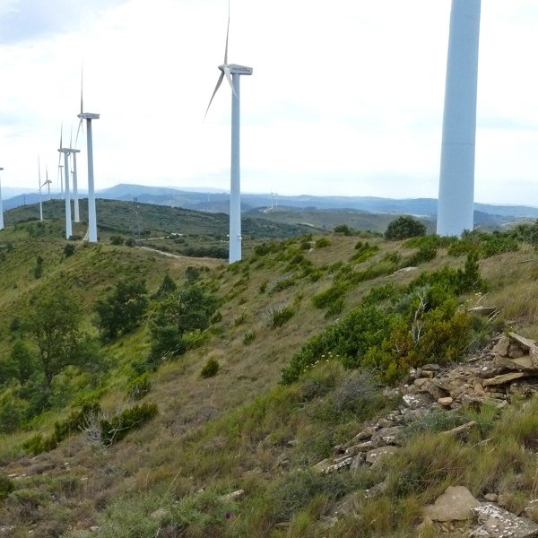 Peña Royako gainaldea