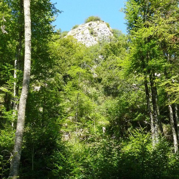 Ekialdeko gailur zirraragarria