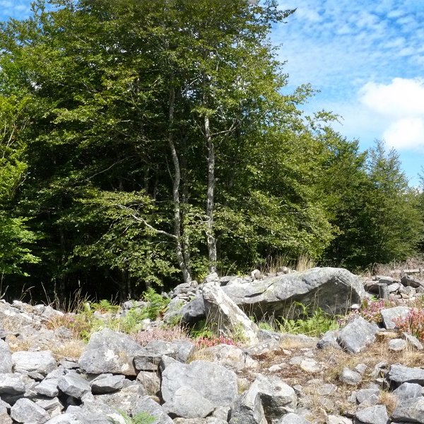 Harrobiganako gailurreko trikuharria