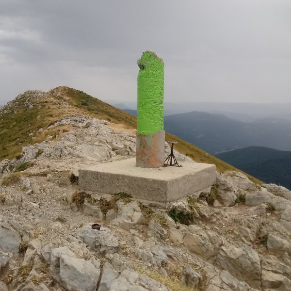 Orhi (2017m) tontorra