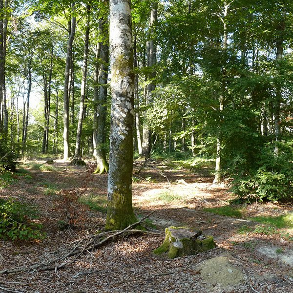 Mugarriautsiko gailurra