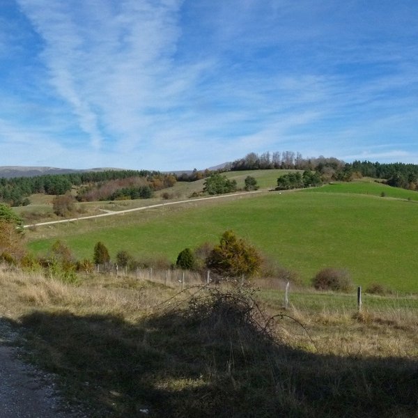 Irungaztelua, Erremiendiko pistatik