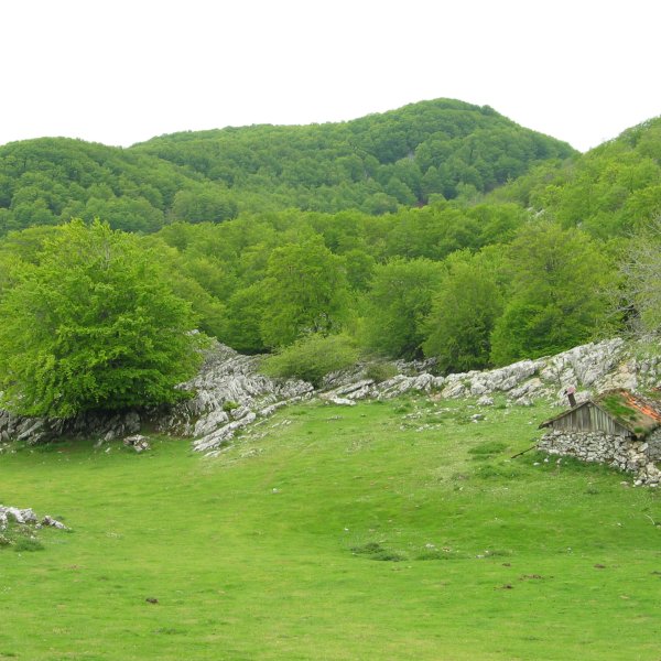 Ekialdeko isurialdea, Txemiñeren magaletik