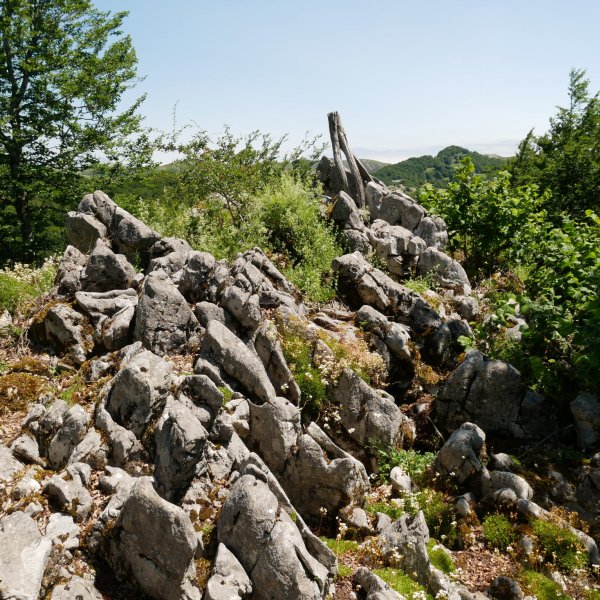 Aitzegigaina tontorra