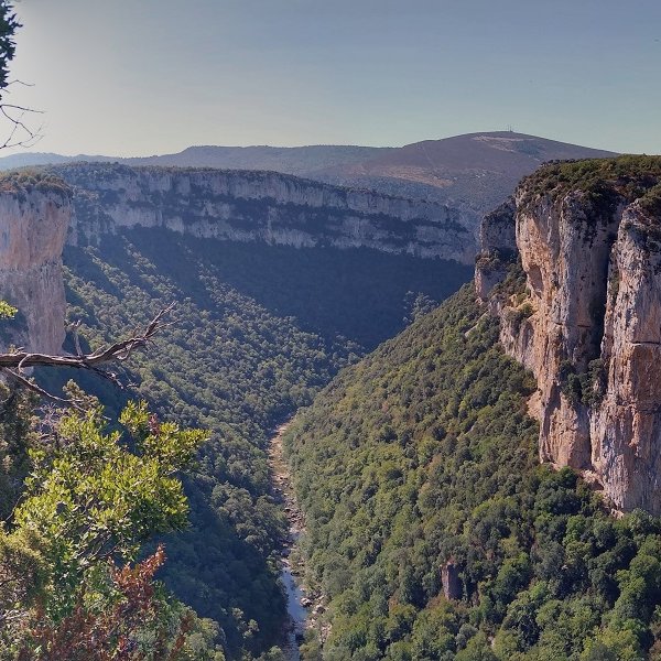 Arbaiungo arroila, Trancasko bidetik