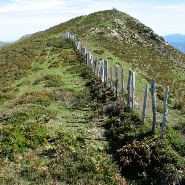 Tontorra Mendebaldetik