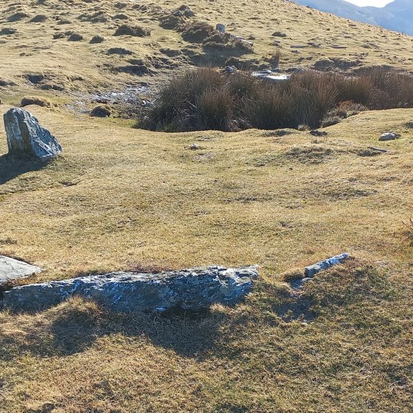 Beltzuntza harrespila