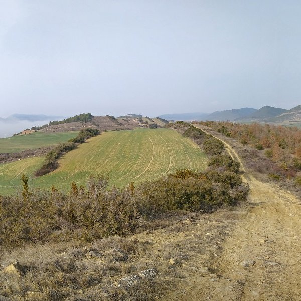 Unesati Oibar aldera