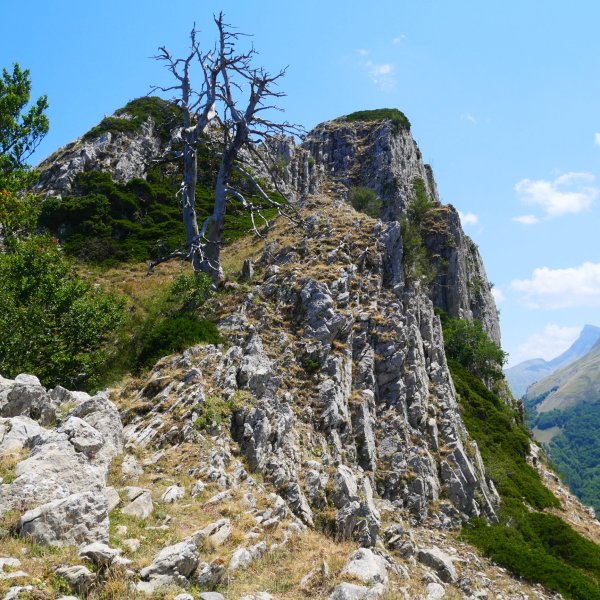 Abizondo, mendebaldetik