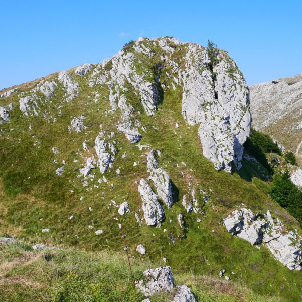 Kurutzeaga tontorra ekialdetik