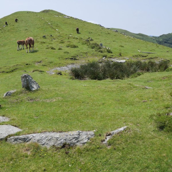 Gerasuko Atakako harrespila