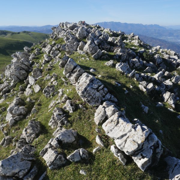 Auntzizegi tontorra ekialdetik