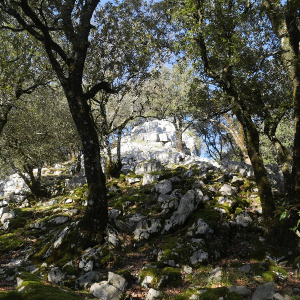 Artitzako Malkorra: azken txanpa HEko bizkarrean gora