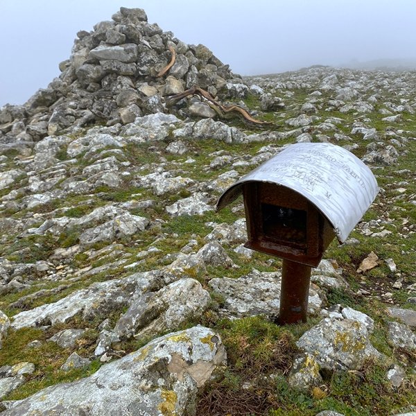 Mendebaldeko Tontorra