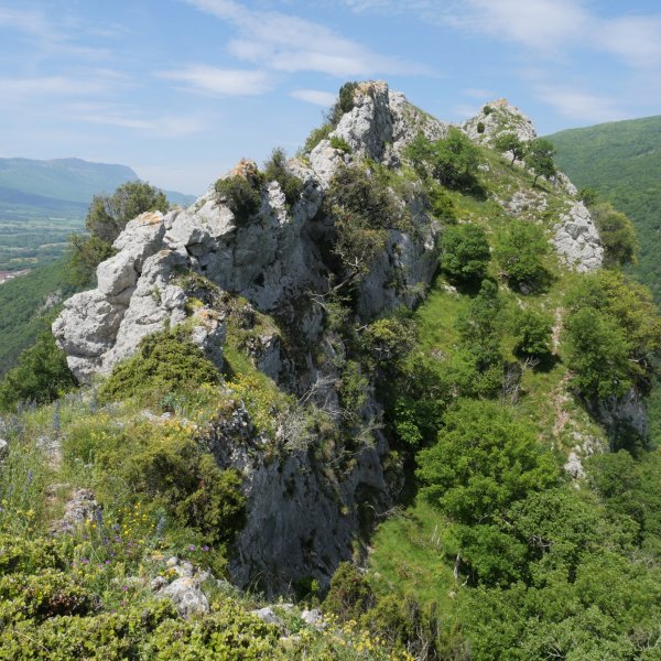 Haitz Txikia ekialdetik, azken txanpa