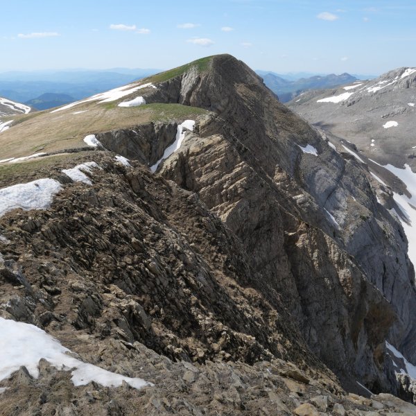 Quimboa Petraficha aldetik ikusita