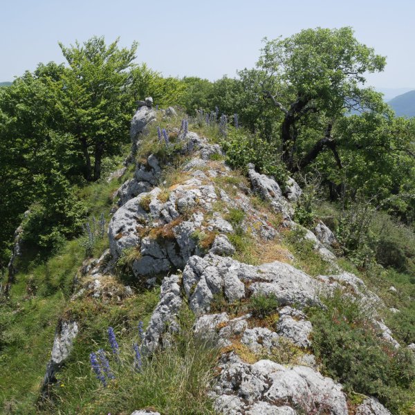 Soiltxiki tontorra mendebaldetik