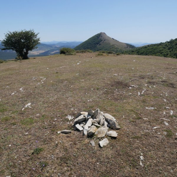 Baltsa Gaina, tontorra